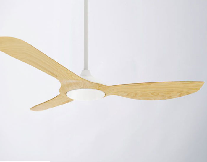 Ventilateur domestique